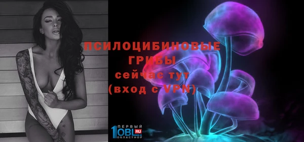 МДПВ Каменск-Шахтинский