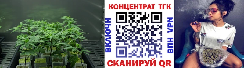 Купить закладки  Печоры  ТГК гашишное масло 